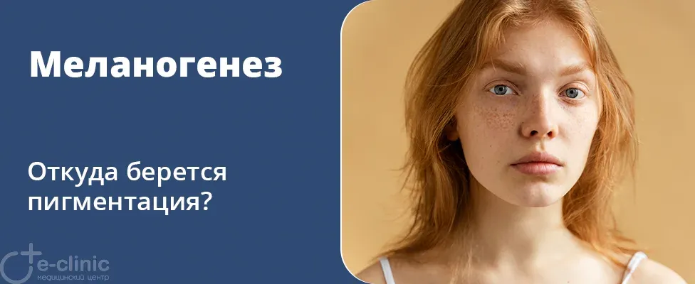 Меланогенез или откуда берется пигментация